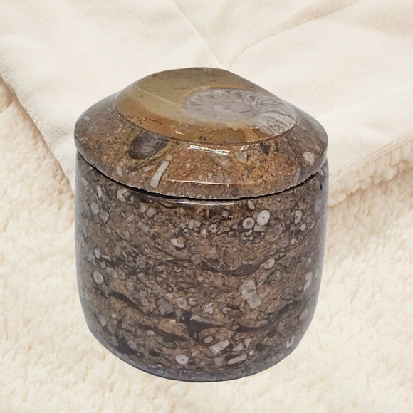 Ammonite Fossil on the Trinket Box's Lid. - Picture 8 of 9